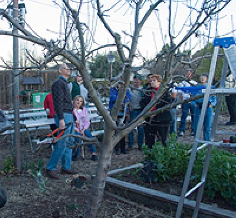 Finda. green gardener