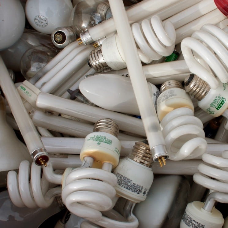 Discarded lightbulbs