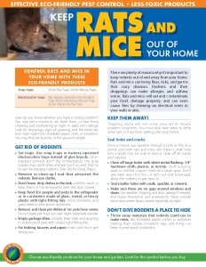 Rats and Mice brochure