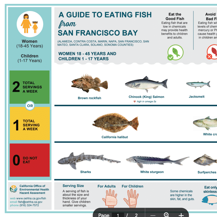 A guide to eating fish from San Francisco Bay