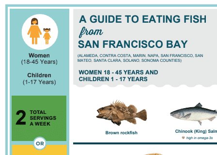A guide to eating fish from San Francisco Bay