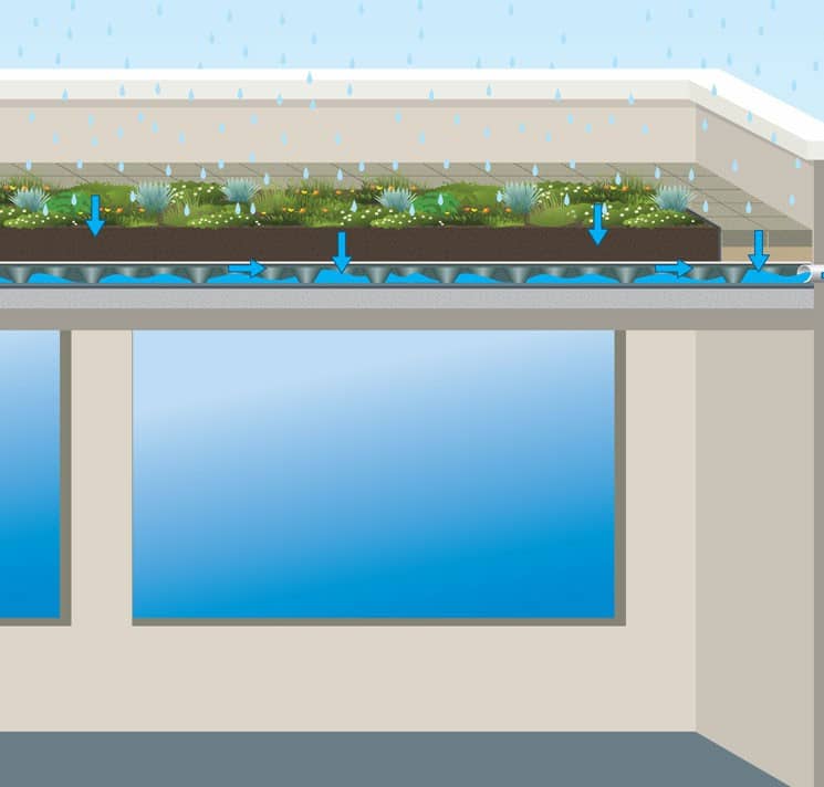 Green roof graphic